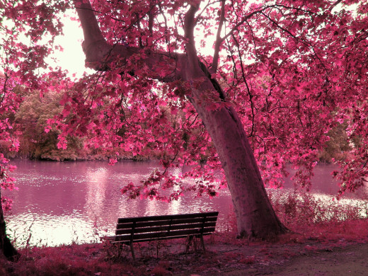 627874 (a): :2560x1920